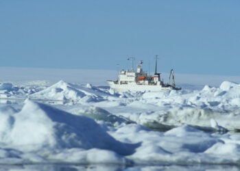 Svalbard fot.Freepik