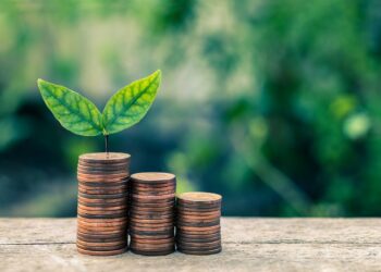 Aut. partystock z Freepik