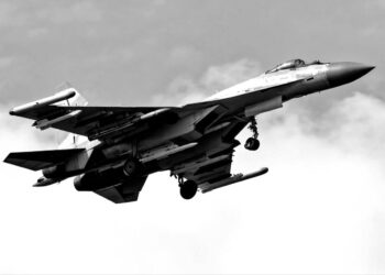 Su-35 z profilu Fighterbomber